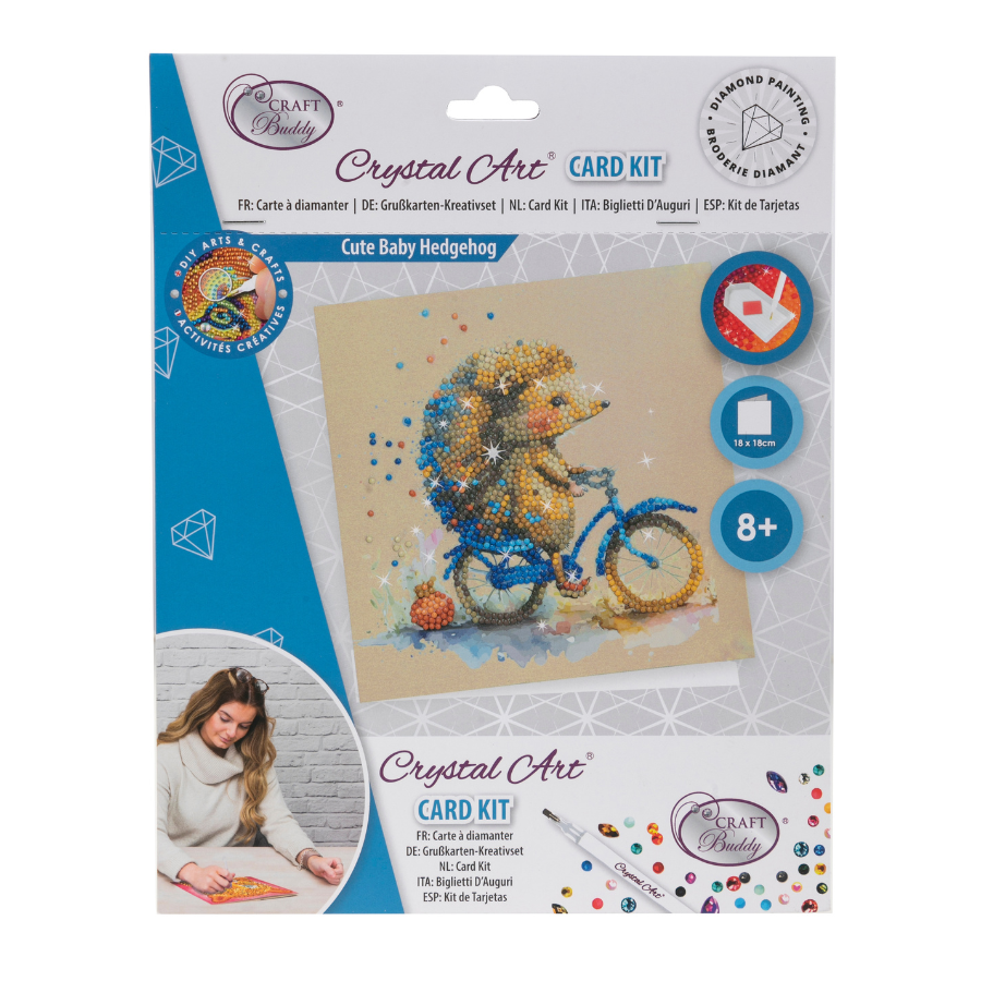 "Cute Baby Hedgehog" Crystal Art Card Front Packaging