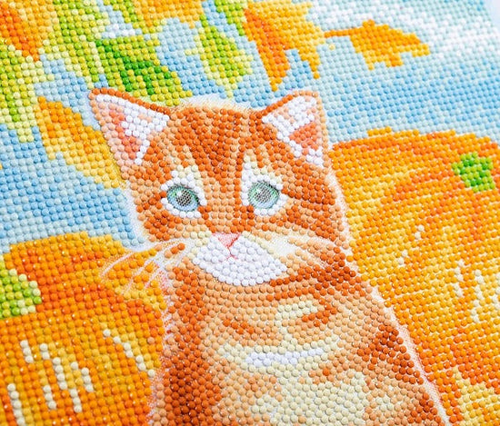 Autumn Cat 30x30cm Crystal Art Kit - Close Up