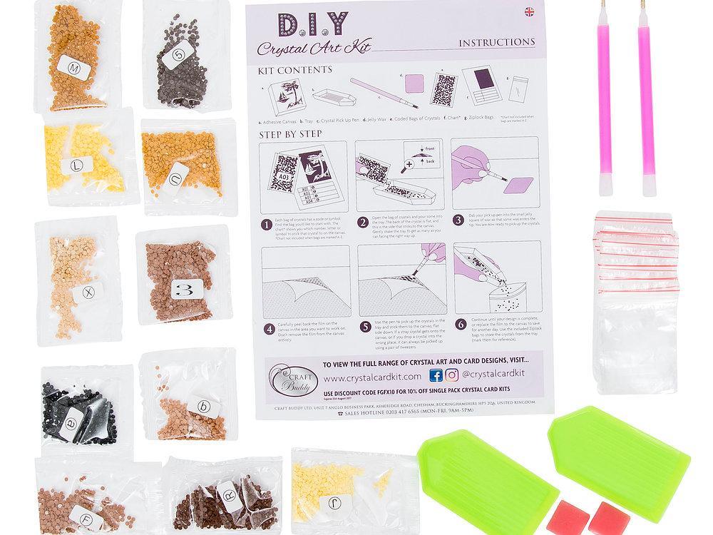 CAK-A27: "Wolves & Northern Lights" Framed Crystal Art Kit, 40 x 50cm