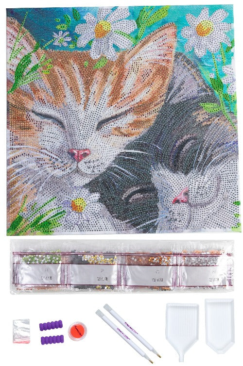 Sleepy Cats 30x30cm Crystal Art Kit - Contents