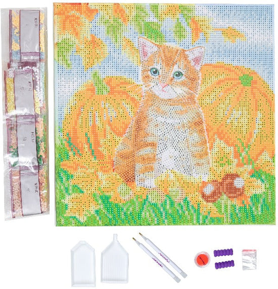 Autumn Cat 30x30cm Crystal Art Kit - Contents