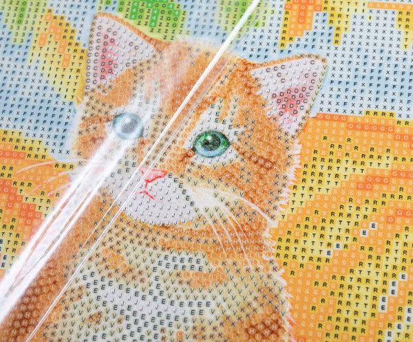 Autumn Cat 30x30cm Crystal Art Kit - Close Up