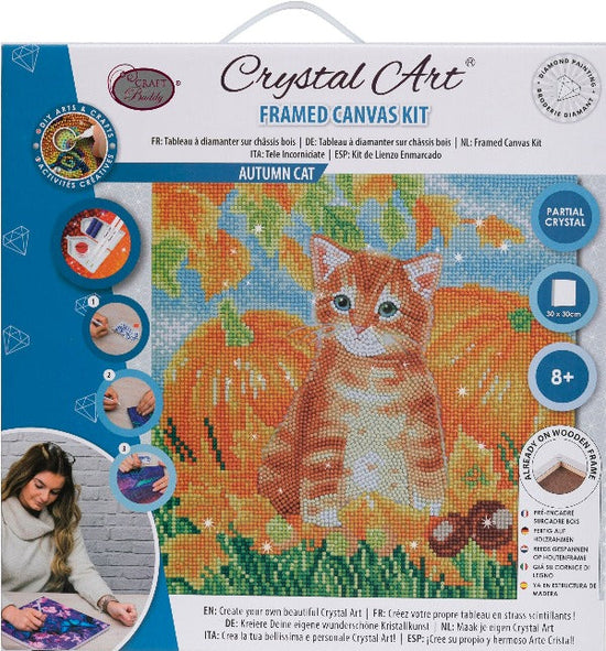 Autumn Cat 30x30cm Crystal Art Kit - Front Packaging