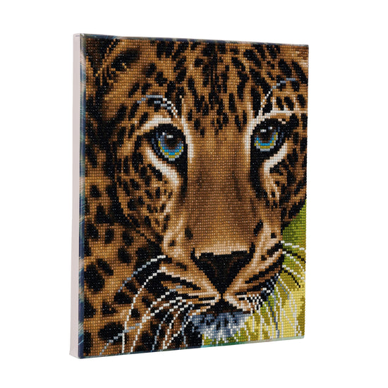 CAK-A66: "Leopard " Framed Crystal Art Kit 30 x 30cm (Medium)