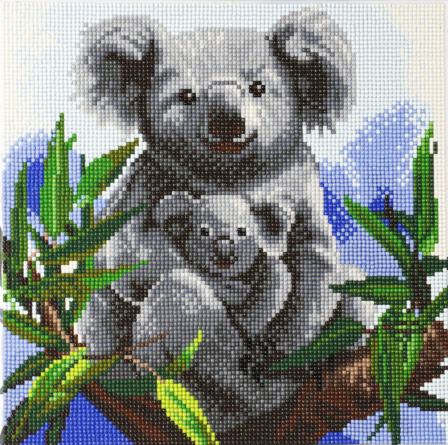CAK-A87: "Koala Bears" 30 x 30cm (Medium)