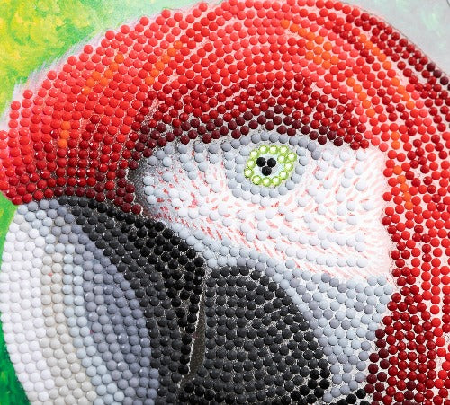 Pretty Parrot Crystal Art Card - Close Up