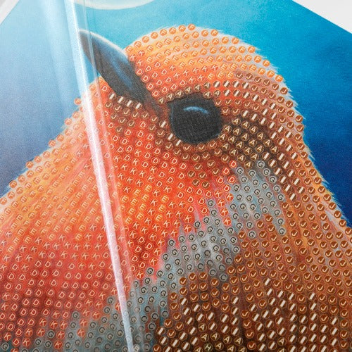 Robin Crystal Art Card - Incomplete Close Up