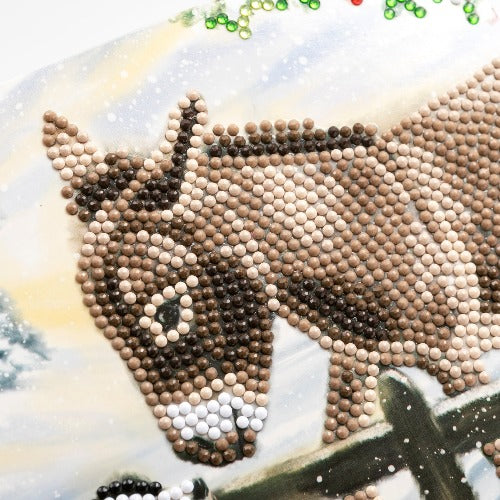 Donkey & Dog Crystal Art Card - Complete Close Up