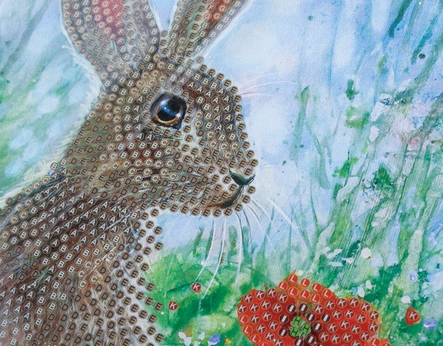 CCK-A101: "Wild Poppies and the Hare" 18x18cm Crystal Art Card