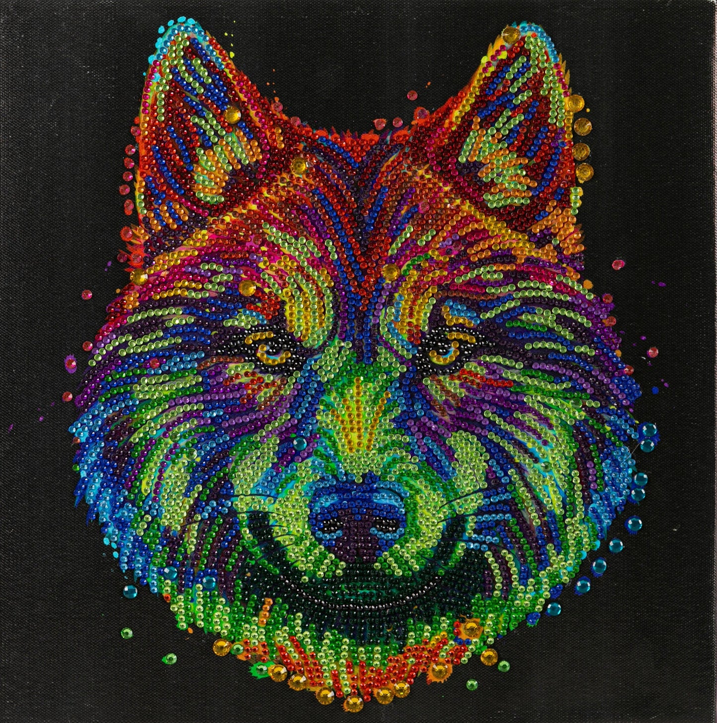 CAK-A187M: "Colourful Wolf" 30x30cm Crystal Art Kit