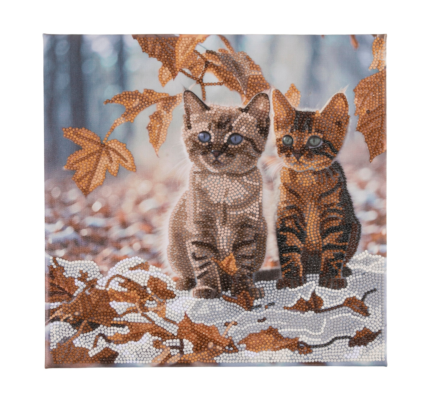 Autumn Kittens Crystal Art Card 18x18cm 8