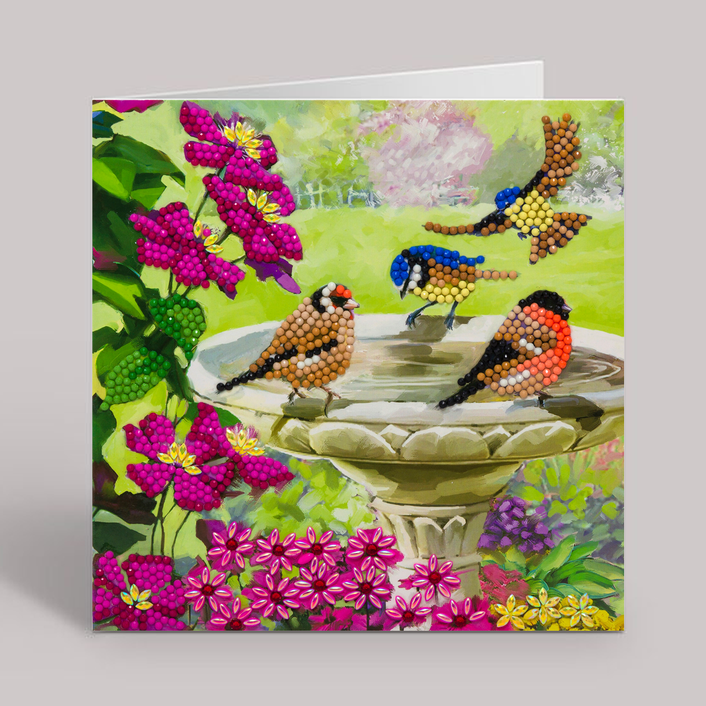 CCK-A50 "Birds" Crystal Art Card Kit