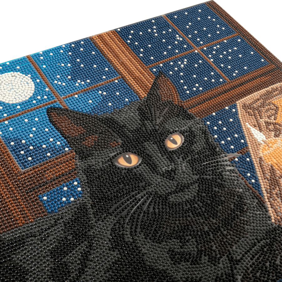 Black Cat Crystal Art Canvas Kit 50x40cm