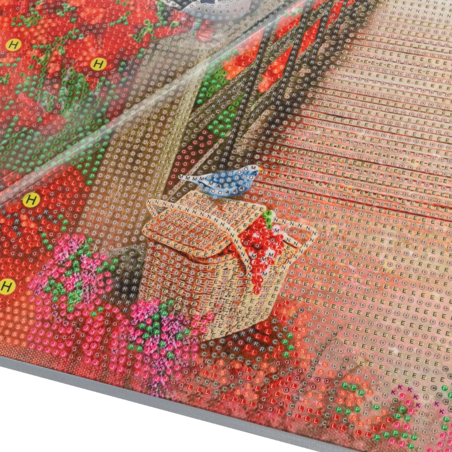 Castle Beyond The Poppies Crystal Art Framed Canvas Kit 50x40cm