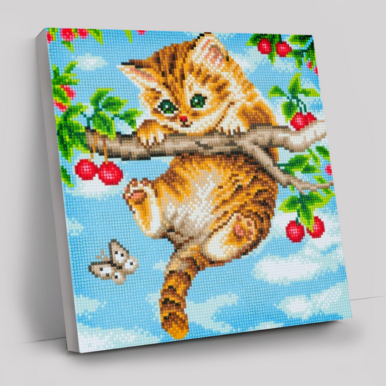 CAK-A73: "Cherry Kitten" 30 x 30cm (Medium)