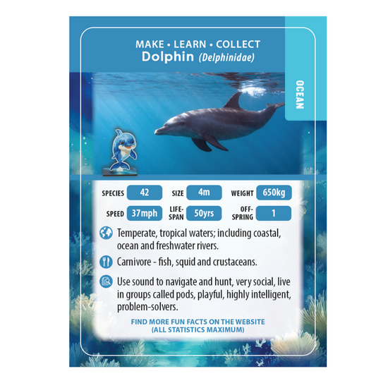 Dolphin Crystal Art Wildlife Buddies educard front