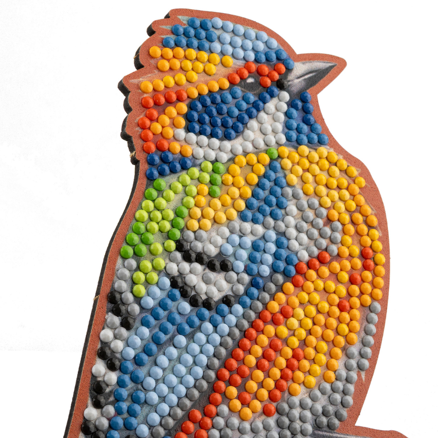 Dual Songbirds Crystal Art Decoration Kit
