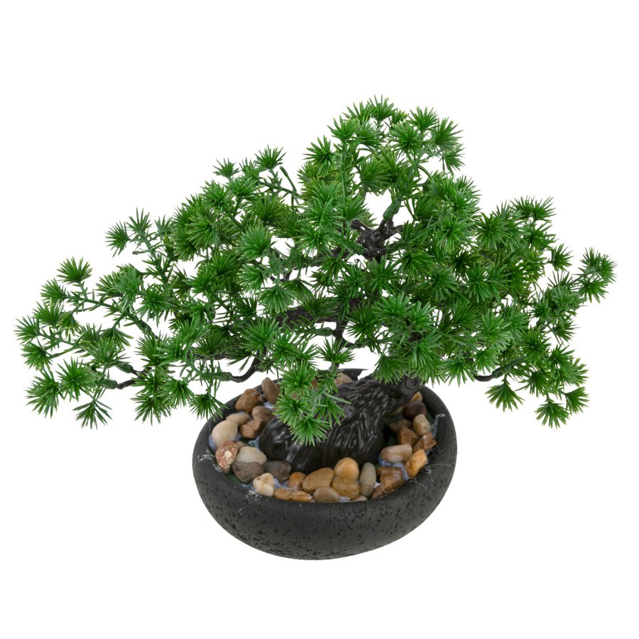 Forever Flowerz Pine Bonsai Tree Kit above