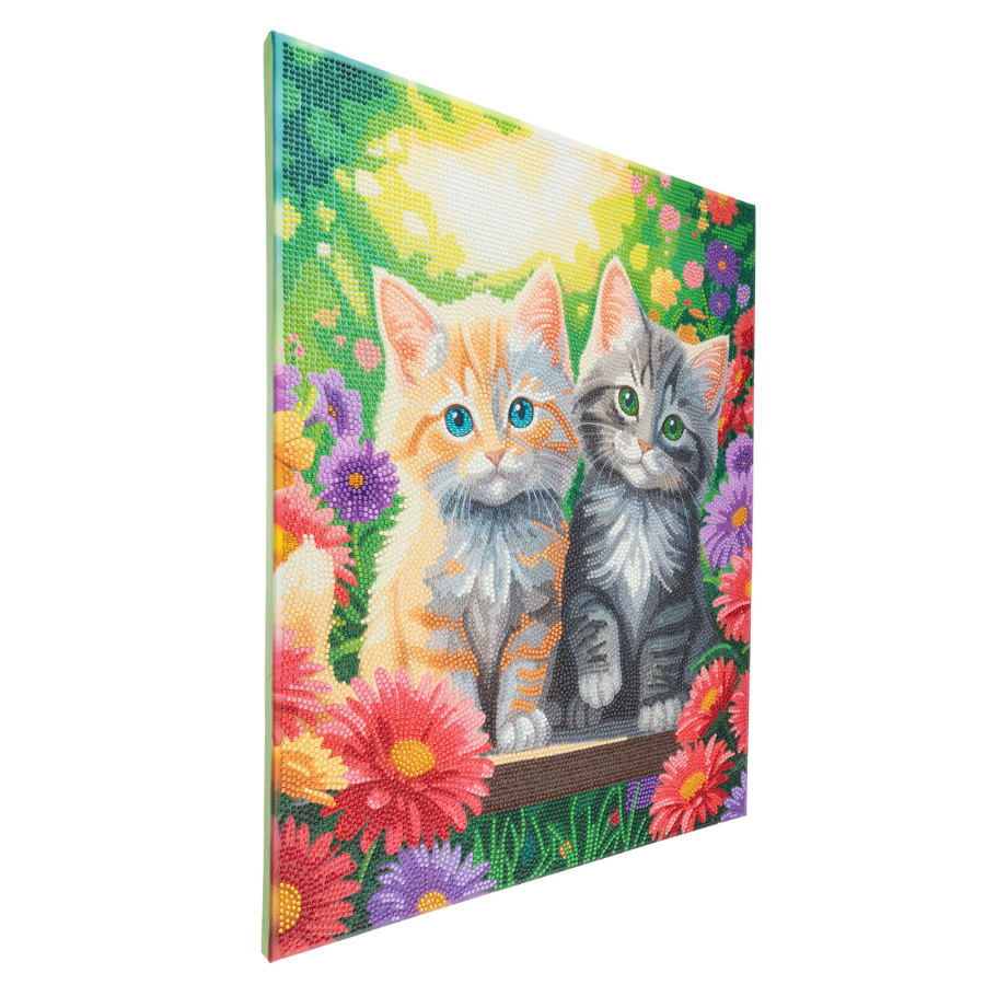 Garden Cats Crystal Art Canvas Kit 40x50cm