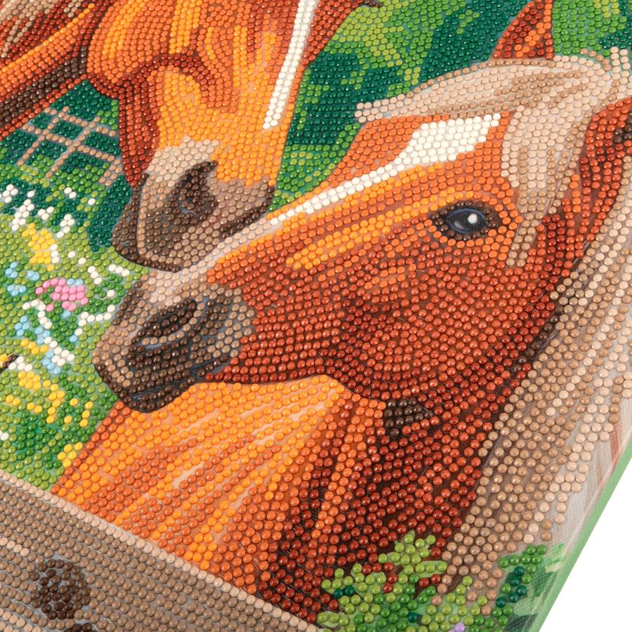 Golden Mares Crystal Art Canvas Kit 40x50cm