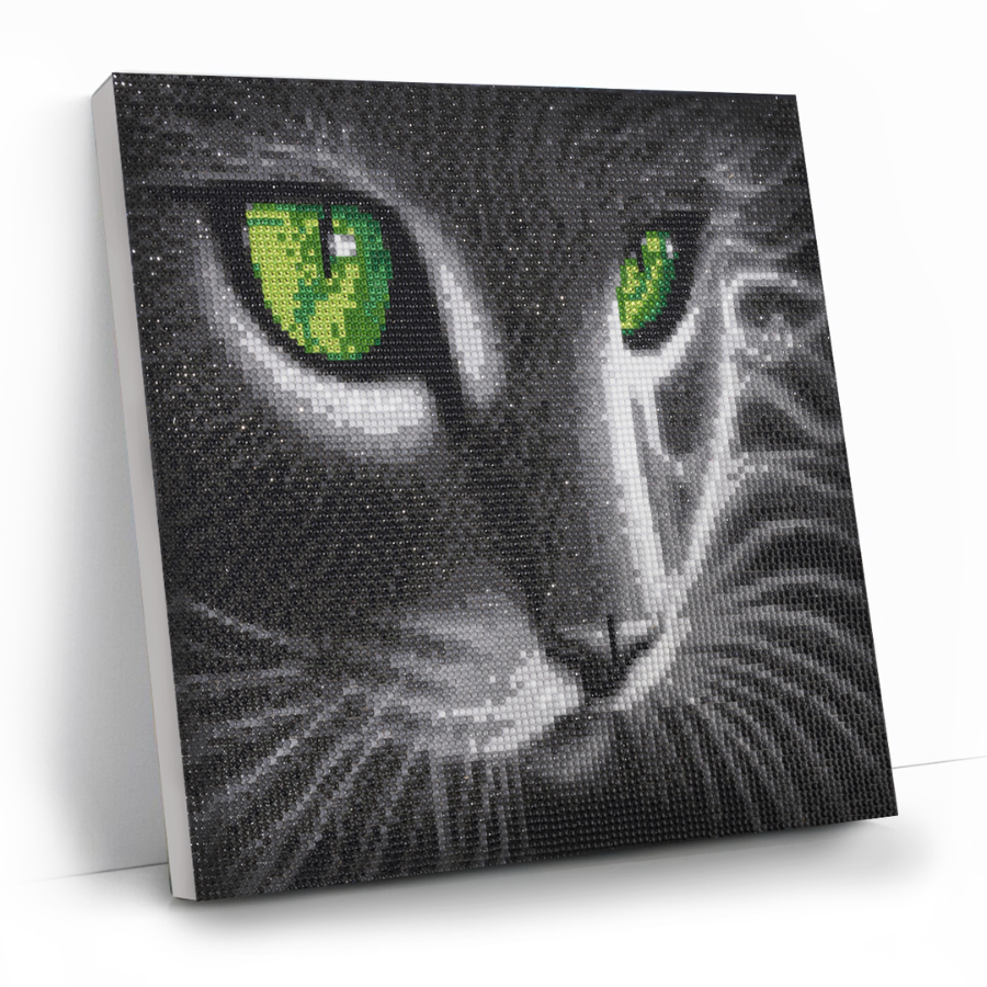 Green Eyed Gaze Crystal Art Canvas Kit 30x30cm
