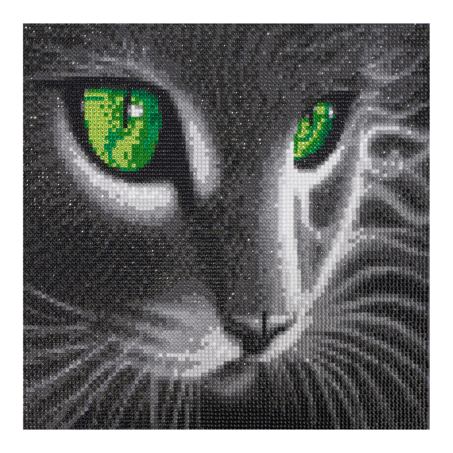 Green Eyed Gaze Crystal Art Canvas Kit 30x30cm