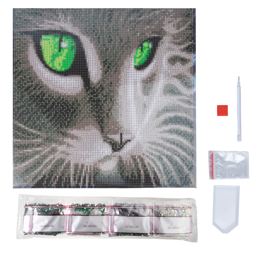Green Eyed Gaze Crystal Art Canvas Kit 30x30cm