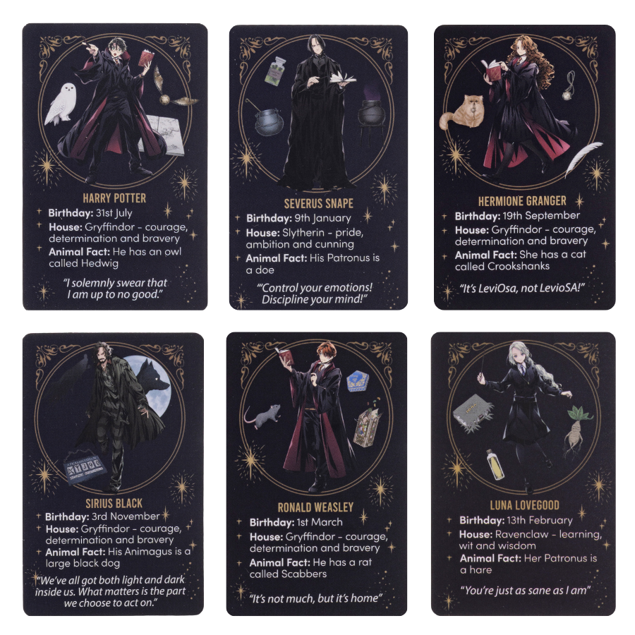 Hogwarts Characters Crystal Art Hidden Treasures Kit Harry Potter