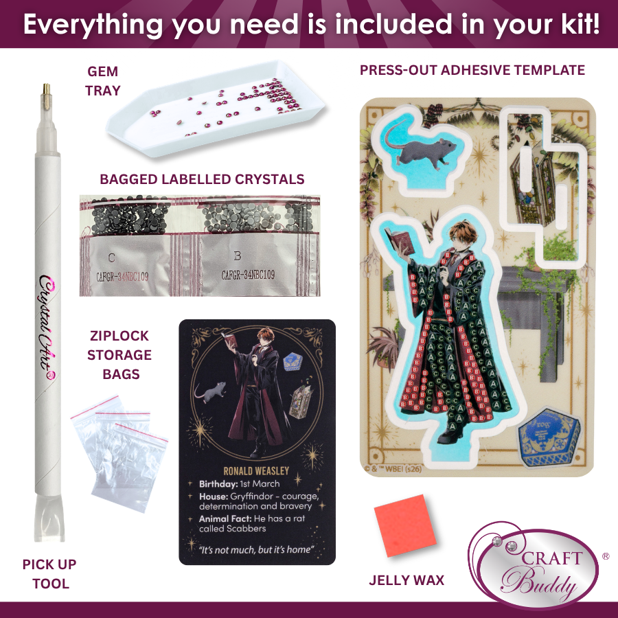 Hogwarts Characters Crystal Art Hidden Treasures Kit Harry Potter