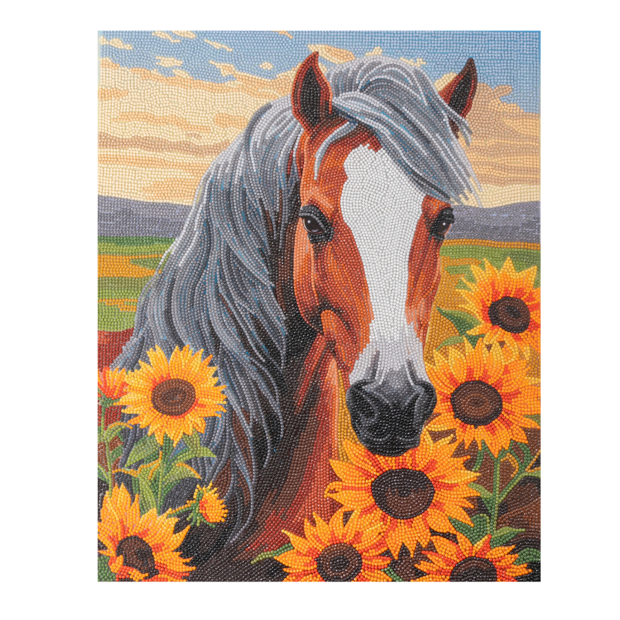 Horse With Sunflowers Crystal Art Canvas Kit 35x45 5