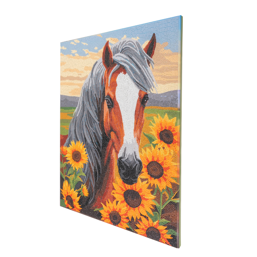 Horse With Sunflowers Crystal Art Canvas Kit 35x45 6