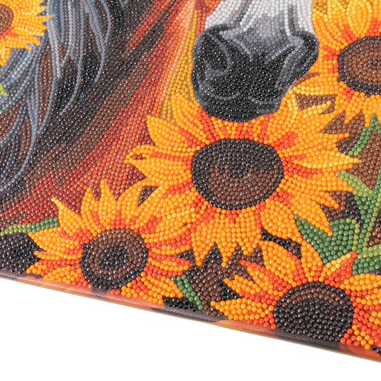 Horse With Sunflowers Crystal Art Canvas Kit 35x45 8