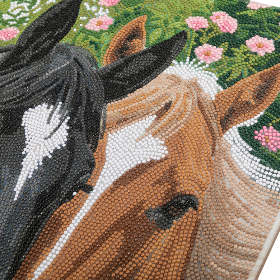 Horses In Harmony Crystal Art Canvas Kit 40x50cm