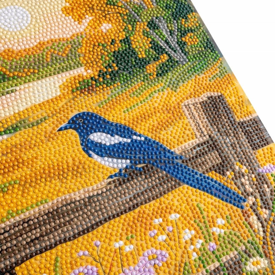 Landscape and Magpie Crystal Art Canvas Kit 40x50cm