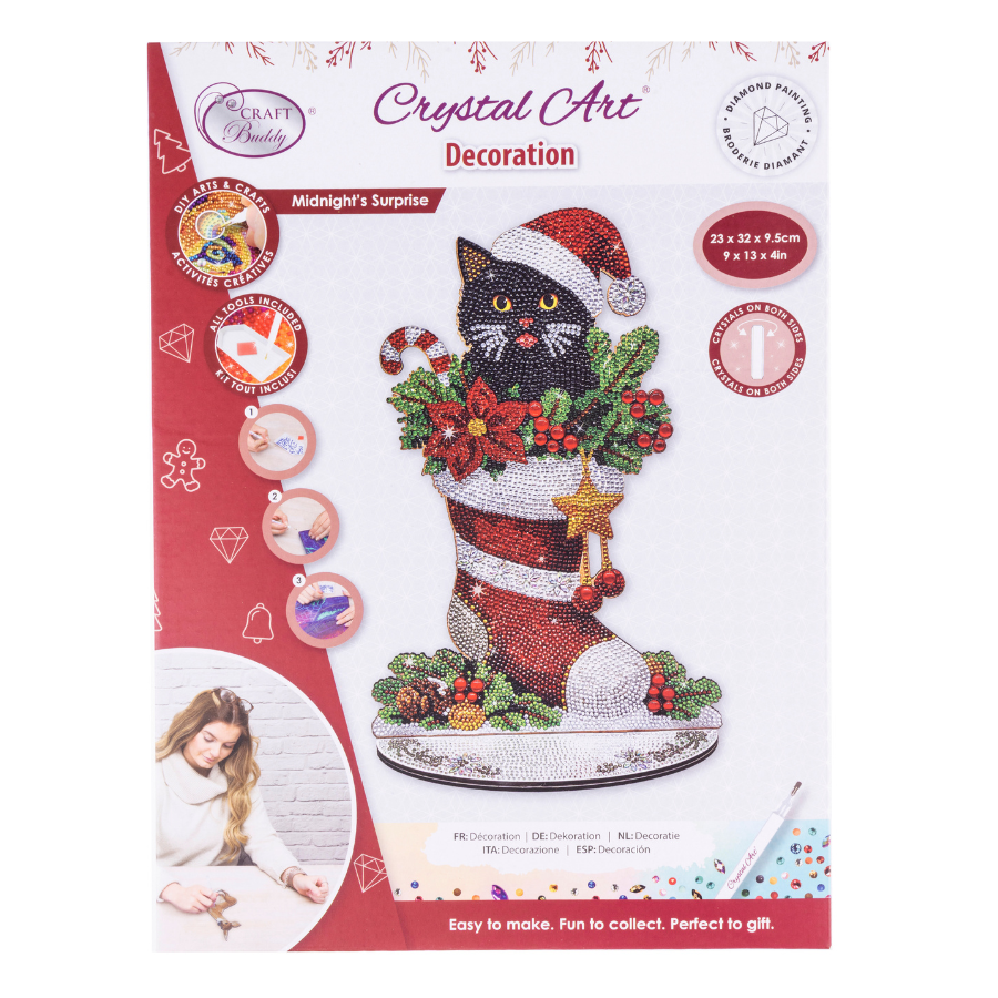 Midnight's Surprise Crystal Art Decoration Kit