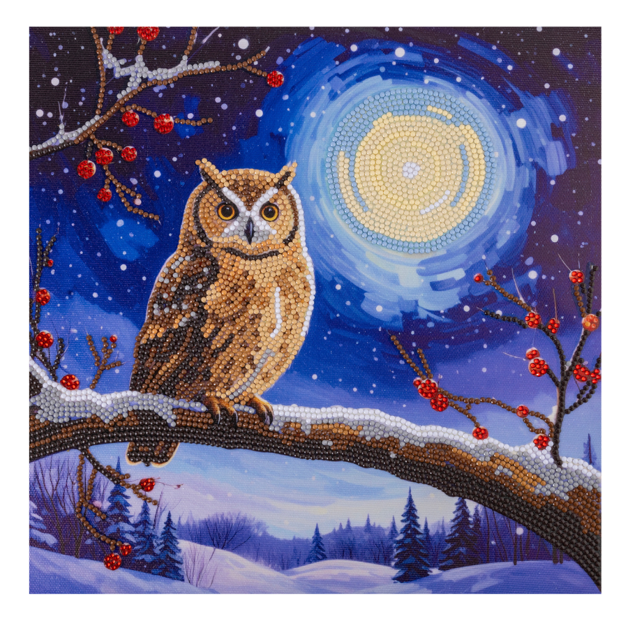 Moonlit Owl Crystal Art Canvas Kit 30x30cm