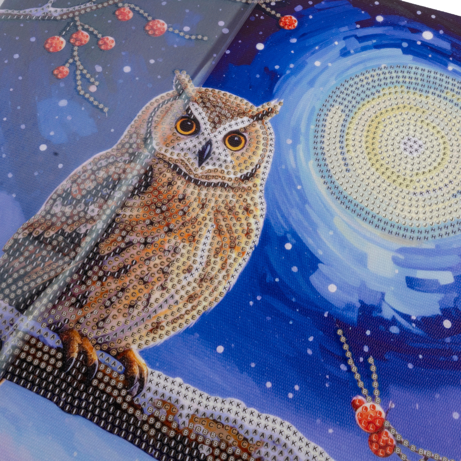 Moonlit Owl Crystal Art Canvas Kit 30x30cm
