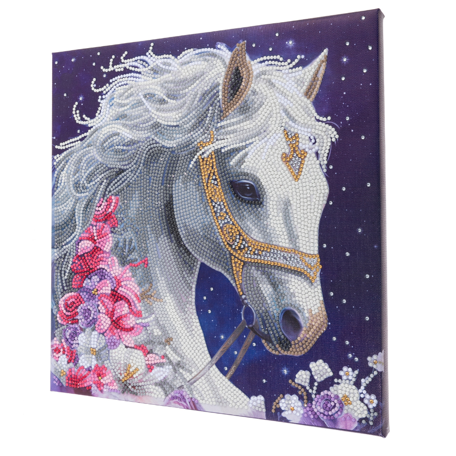 Mystic Beauty Crystal Art Canvas Kit 30x30 7