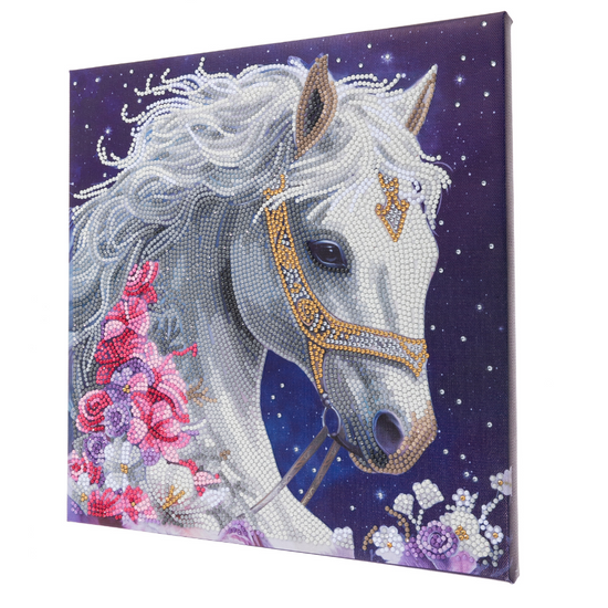 Mystic Beauty Crystal Art Canvas Kit 30x30 7