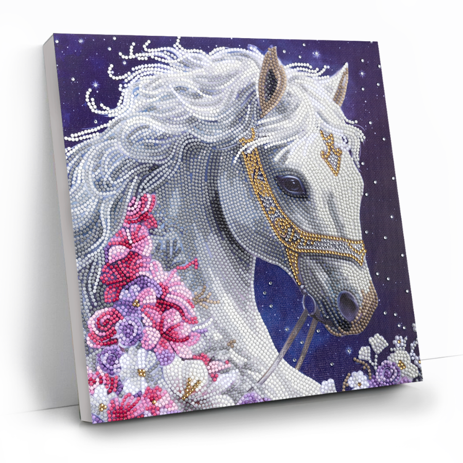 Mystic Beauty Crystal Art Canvas Kit 30x30 8