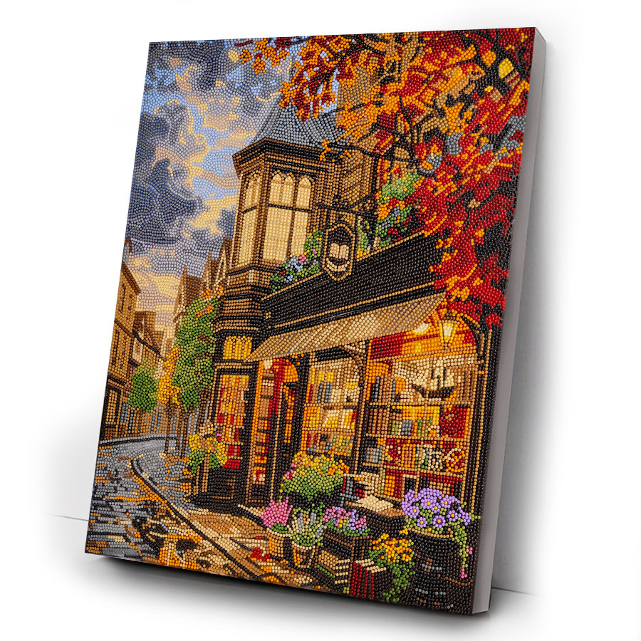 Old Book Store Crystal Art Canvas Kit 40x50cm