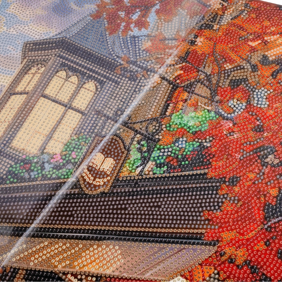 Old Book Store Crystal Art Canvas Kit 40x50cm