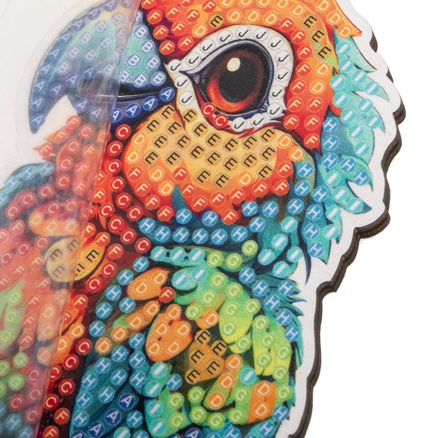 Parrot Crystal Art Wildlife Buddies template