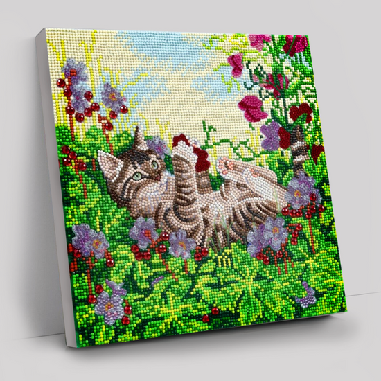 CAK-A178M: "Playful Cat" 30x30cm Crystal Art Kit