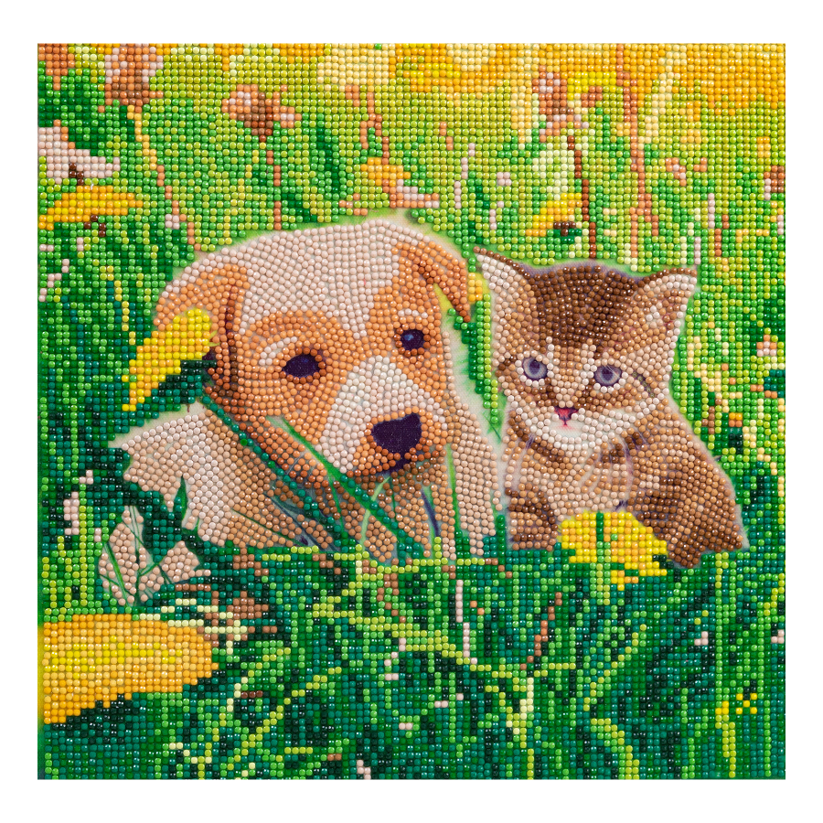 Puppy & Kitten In Dandelion Field Crystal Art Canvas Kit 30x30cm