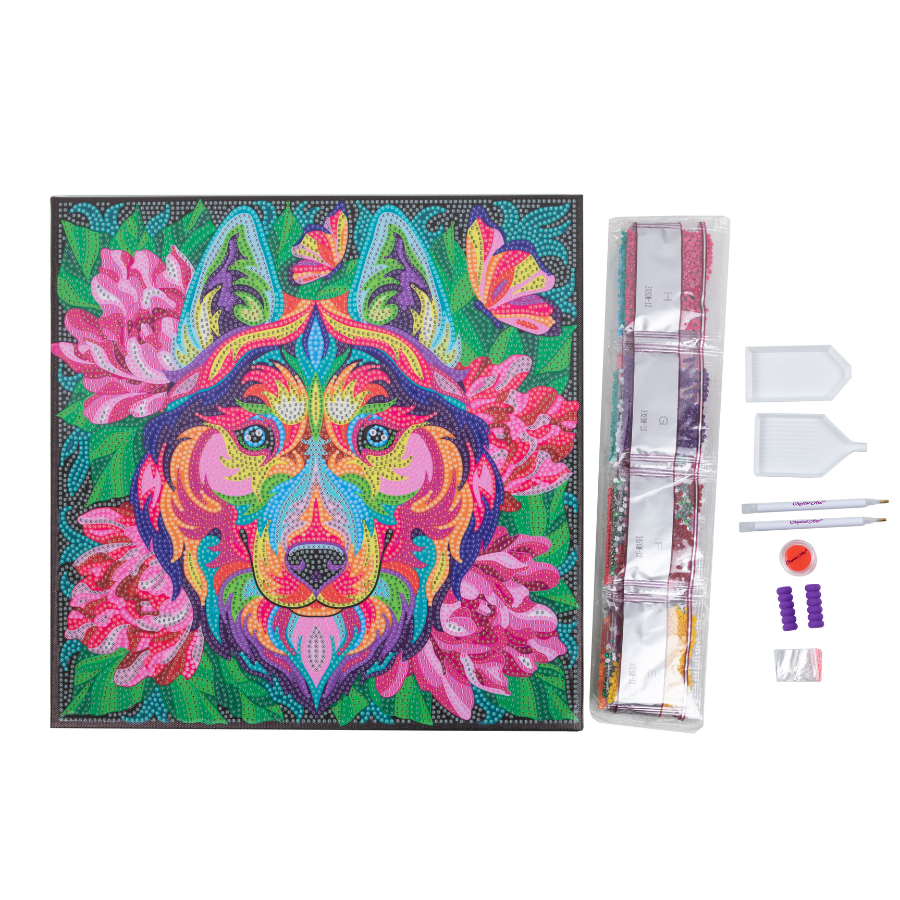 Rainbow Husky Crystal Art Canvas 30x30cm 2