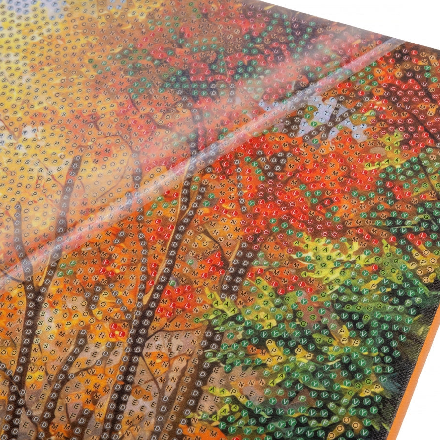Autumn Park Crystal Art Canvas Kit 40x50cm