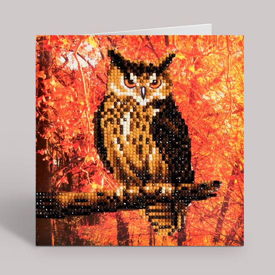 CCK-A10. "Autumn Owl" Crystal Card Kit