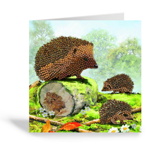 CCK-A69: "Happy Hedgehog" 18x18cm Crystal Art Card