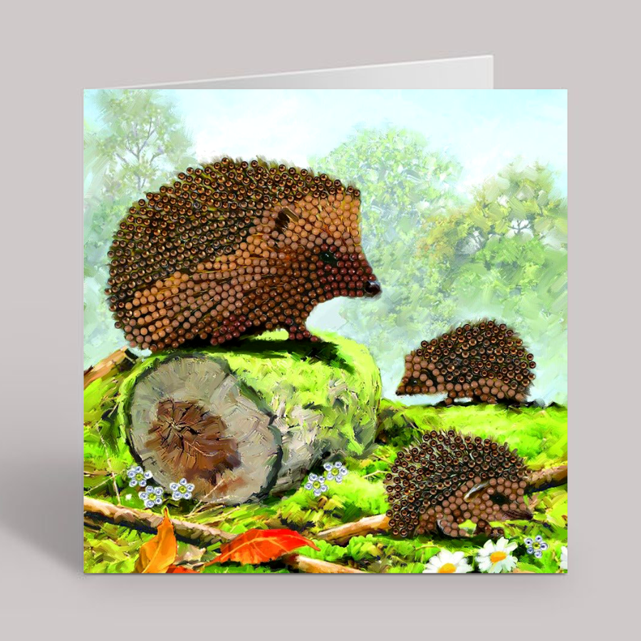 CCK-A69: "Happy Hedgehog" 18x18cm Crystal Art Card